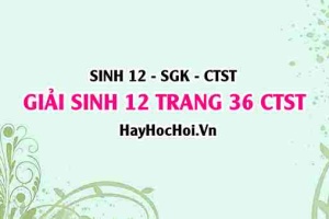 Giải Sinh 12 trang 36 Chân trời sáng tạo SGK